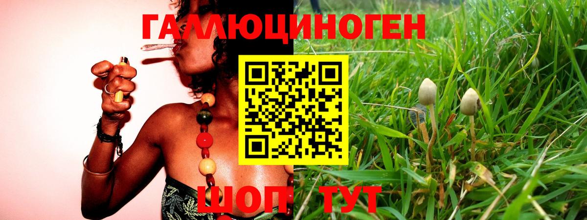 Галлюциногенные грибы прущие грибы Балашиха